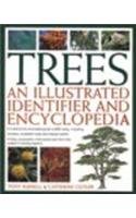 Trees Illus Identifier & Encyclo