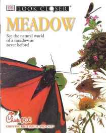 Look Closer- Meadow