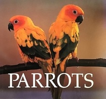 Parrots : Naturebooks Series