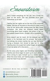 Snowstorm: (Inspirational Romance)