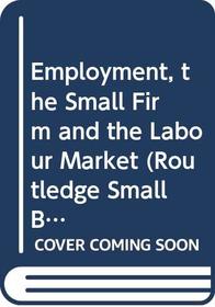 Employment, the Small Firm and the Labour Market (Routledge Small Business)