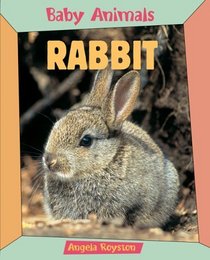 Bunnies (Baby Animals)