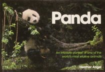 Panda: An Intimate Portrait of One of the World's Most Elusive Creatures