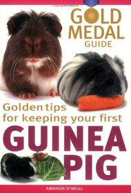 Guinea Pig