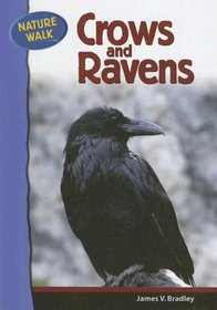 Crows and Ravens (Nature Walk)