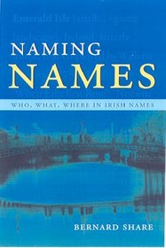 Naming Names: Who, What, Where in Irish Names