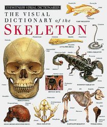 Eyewitness Visual Dictionary of the Skeleton