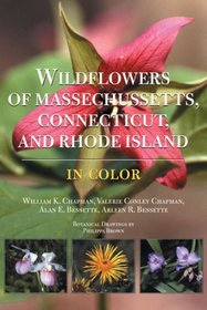 Wildflowers of Massachusetts, Connecticut, and Rhode Island: In Color (Natural History)