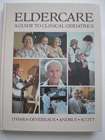 Eldercare, a Practical Guide to Clinical Geriatrics