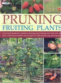 Pruning Fruiting Plants