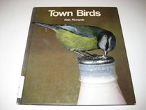 Town Birds (Nature in close-up)