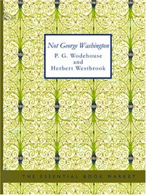 Not George Washington (Large Print Edition): an Autobiographical Novel