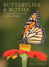 Butterflies & Moths: A Portrait of the Animal World (The Portraits of the Animal World)