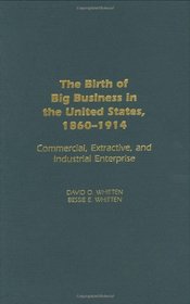 The Birth of Big Business in the United States, 1860-1914: Commercial, Extractive, and Industrial Enterprise