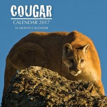 Cougar Calendar 2017: 16 Month Calendar