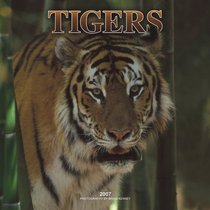 Tigers 2007 Calendar