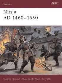 Ninja Ad 1460-1650 (Warrior, 64)