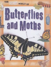 The Secret World Of: Butterflies and Moths (The Secret World of)