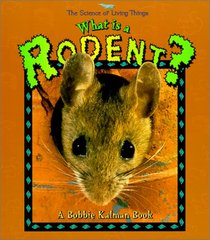 What Is a Rodent (Science of Living Things)