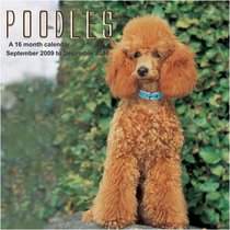 Poodles 2010 Wall Calendar