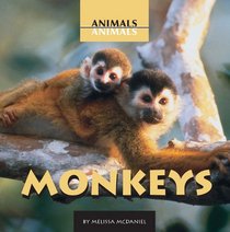 Monkeys (Animals, Animals)