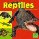 Reptiles (Exploring the Animal Kingdom)