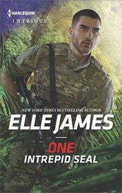 One Intrepid SEAL (Mission: Six, Bk 1) (Harlequin Intrigue, No 1780)