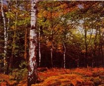 Masakatsu Kondo: Landscape Paintings 1997 - 2001