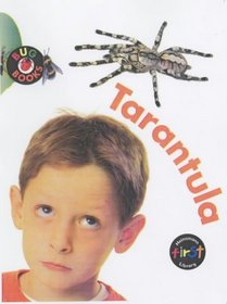 Tarantula (Take-off!: Bug Books)
