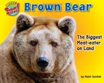 Brown Bear: The Biggest Meat-Eater on Land (Supersized!)