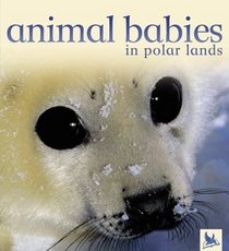 Animal Babies in  Polar Lands (Animal Babies)