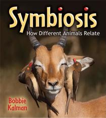 Symbiosis: How Different Animals Relate (Big Science Ideas)