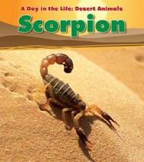 Scorpion (Day in the Life: Desert Animals)