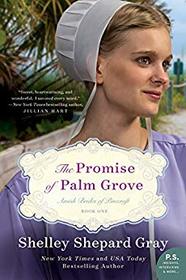 The Promise of Palm Grove: Amish Brides of Pinecraft, Book One