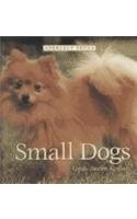 Small Dogs (Perfect Pets)
