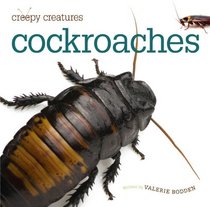 Creepy Creatures: Cockroaches