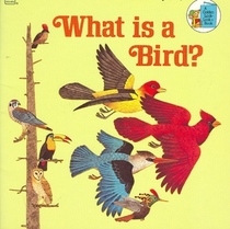 What Is a Bird? (Look-Look)