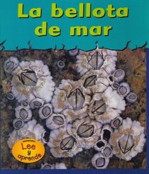 LA Bellota De Mar/Barnacles (Animales Acorazados/Musty-Crusty Animals) (Spanish Edition)