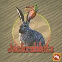 Jackrabbits (Animals That Live in the Desert)