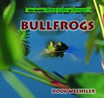 Bullfrogs (Really Wild Life of Frogs)