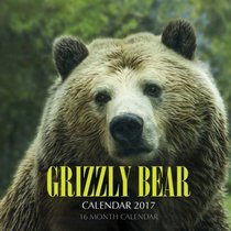 Grizzly Bear Calendar 2017: 16 Month Calendar
