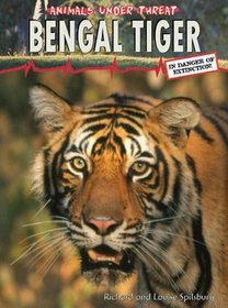Bengal Tiger (Animals under threat)