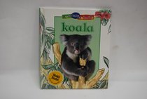 Koala (Busy Baby Animals)