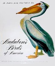 Audubon's Birds Of America: The AUDUBON Society Baby Elephant Folio