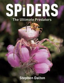 Spiders: The Ultimate Predators