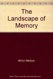 The Landscape of Memory
