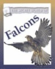 Falcons (The Secret World of)