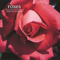 Roses 2008 Wall Calendar (German, French, Spanish and English Edition)