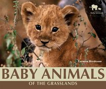 Baby Animals of the Grasslands (Nature's Baby Animals)