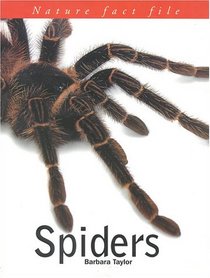 Spiders (Nature Fact Files)
